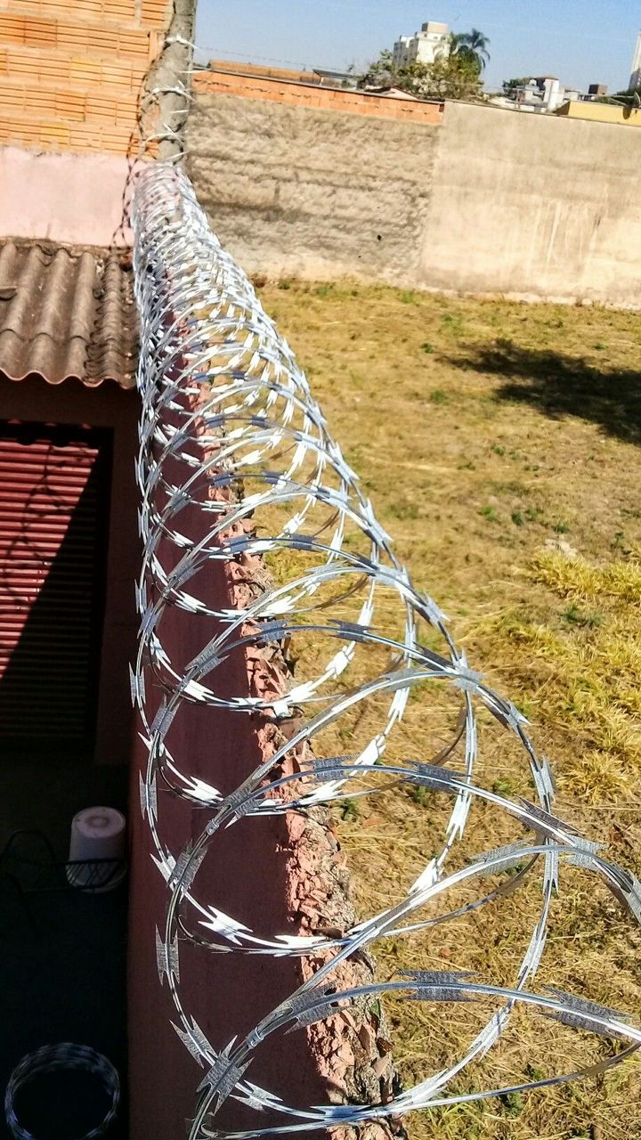 Егоза колючая проволока